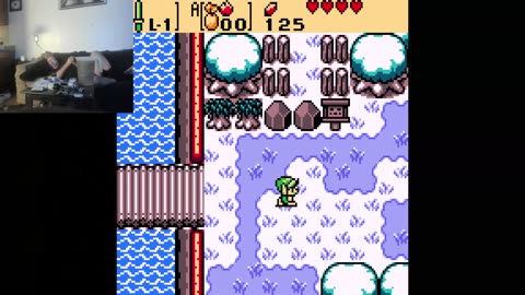 The Legend of the ZZZZZEEEEELLLLLDDDDDAAAAA The Oracle of the Seasons (The Colored GameBOY)