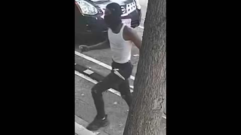 Group of Black Males Robbing a Liqour Store in Washington DC