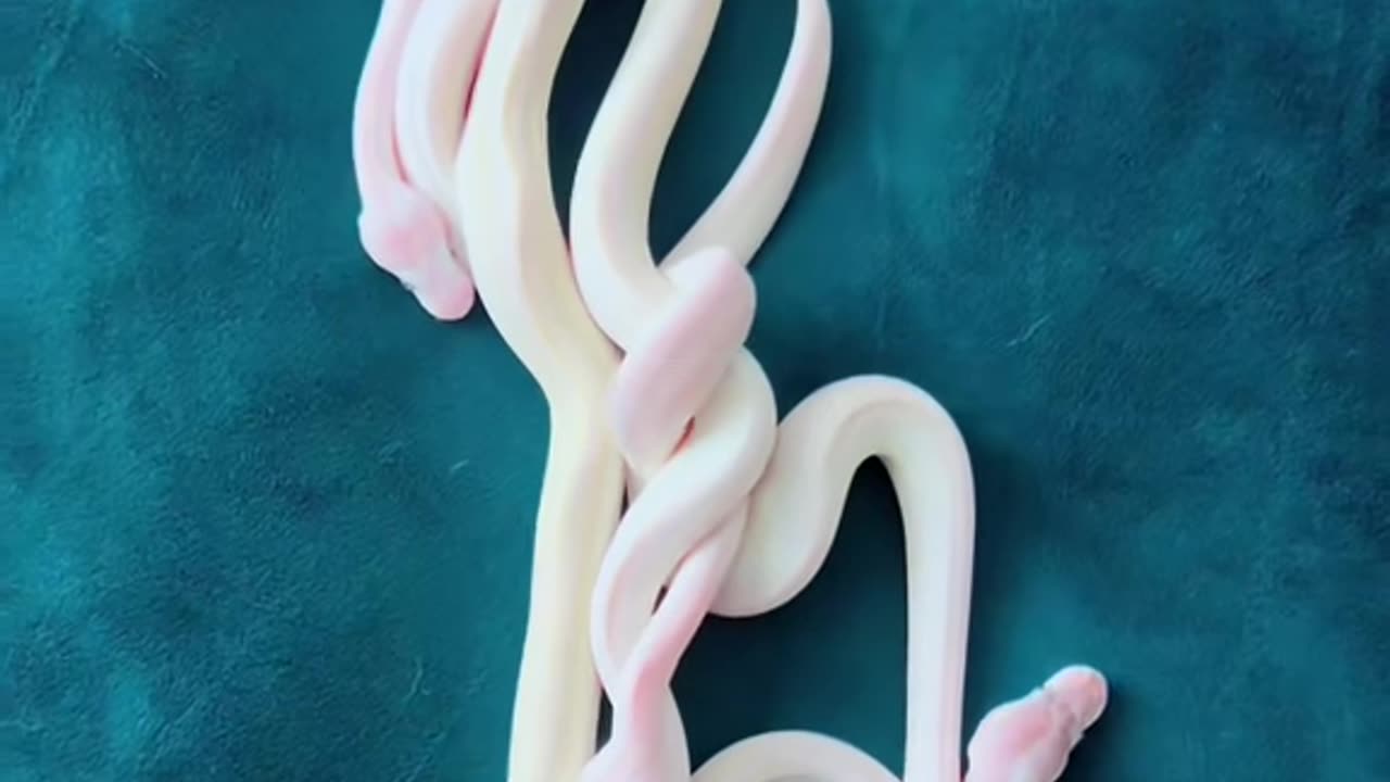 Hatchling Pythons Coiled Together