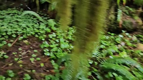 Retrieving the Camera (Part 1) (fixed)