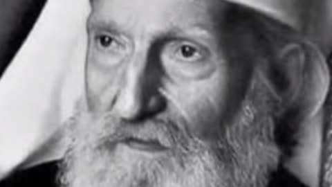 @U čoporu vukova 2025 NOVO