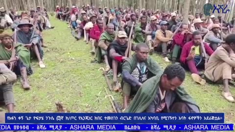 የአማራ ፋኖ በጎጃምና ህዝባዊ አንድነቱ
