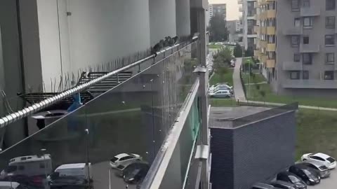 Homeowners in Russia found a clever way to stop birds from messing up their balcony windows 🐦