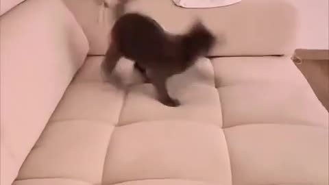 😱🤣 Not Possible! | FunFM