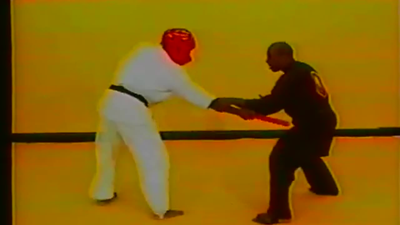 Vee Jitsu