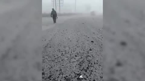 Video shows Russian forces on motorbikes rolling into Pokrovsk