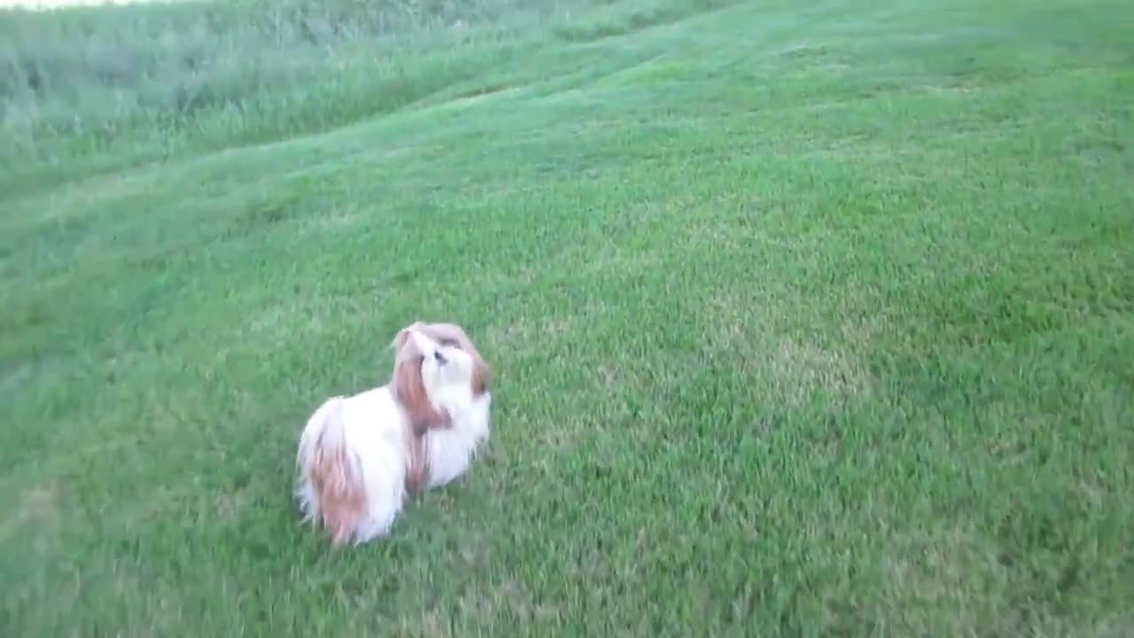 Hello Beautiful View (Vlogust August 7, 2013)