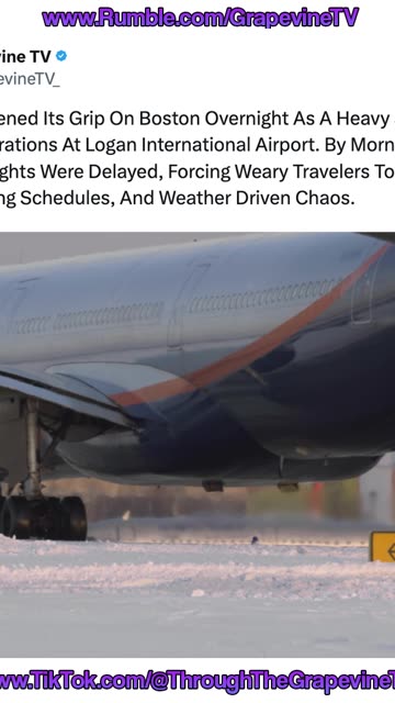 Overnight Snow Gripped Boston, Snarling Logan Airport As 200+ Flights Were Delayed.
