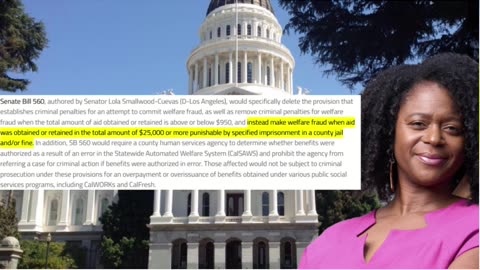 CA FRAUD Law Just Got SOFTER?! 💰 $25K = No Jail?!