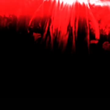 Tim Rifat TikTok Videos