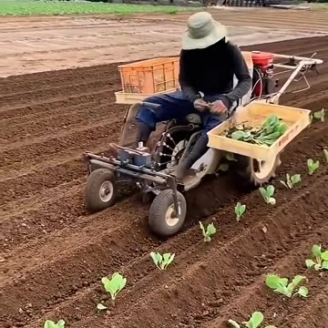 Automated seedling planter: revolutionizing small-scale farming