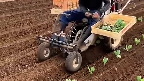 Automated seedling planter: revolutionizing small-scale farming
