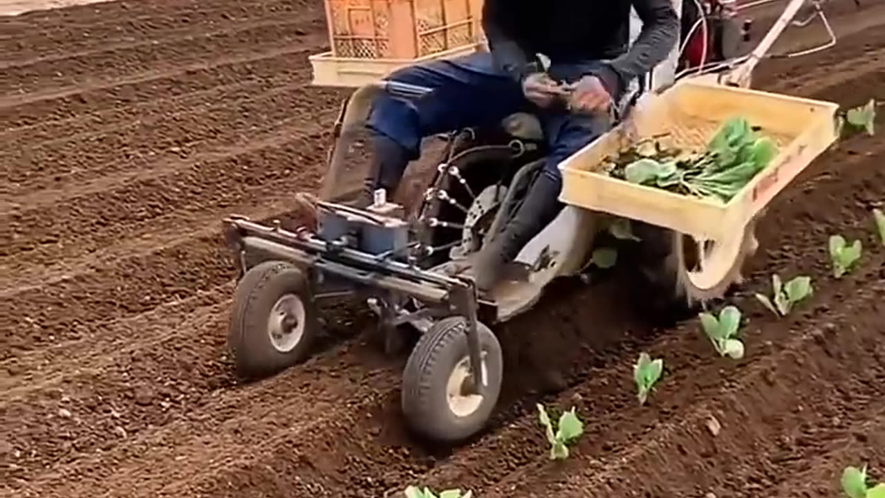 Automated seedling planter: revolutionizing small-scale farming