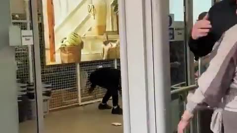 Robbery at Primark Store in Liverpool