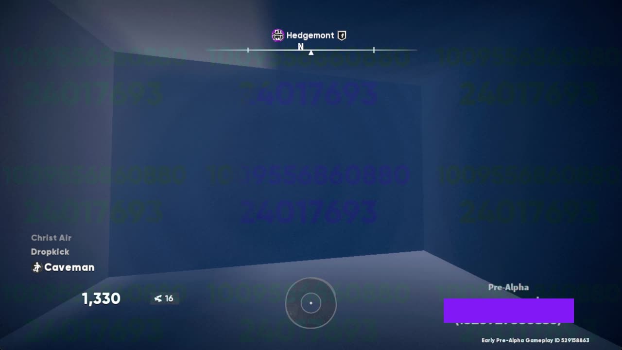 skate. i got glitched out