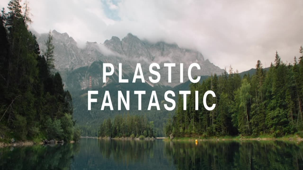 ENDLAGER (Plastik => Dioxin... => Krebs...)