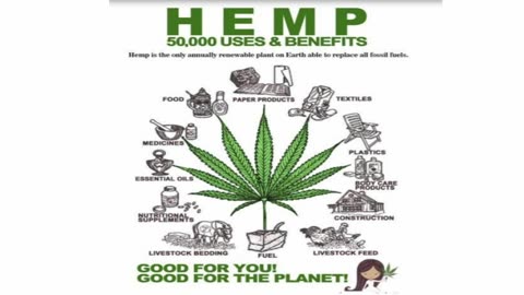 BACK TO LIGHT EPISODE 14: ENDOCANNABINOID SYSTEM