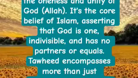 What does Tawheed mean in Islam?