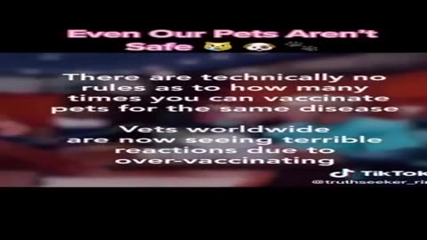 Stop Vaccinating Your Pets!