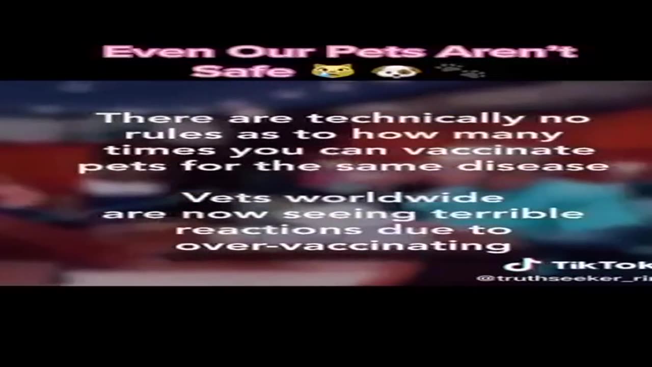 Stop Vaccinating Your Pets!