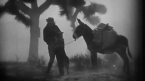 Clash of the Wolves (1925)