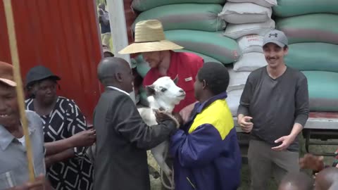 Watch this video to feed 1 person need
