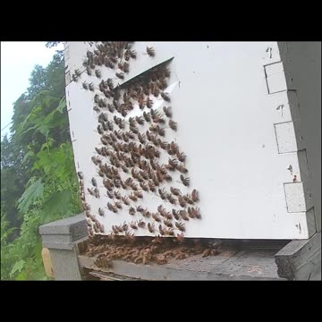 Friday Morning Sunrise