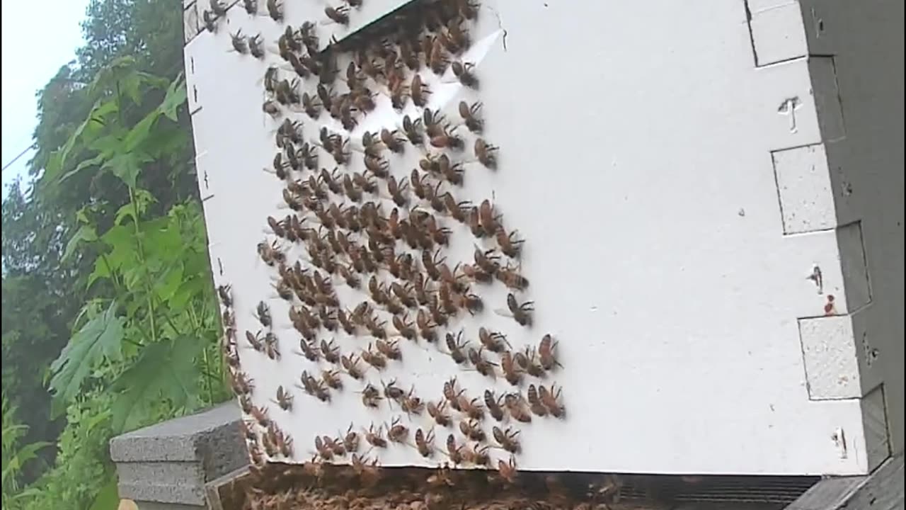 Friday Morning Sunrise