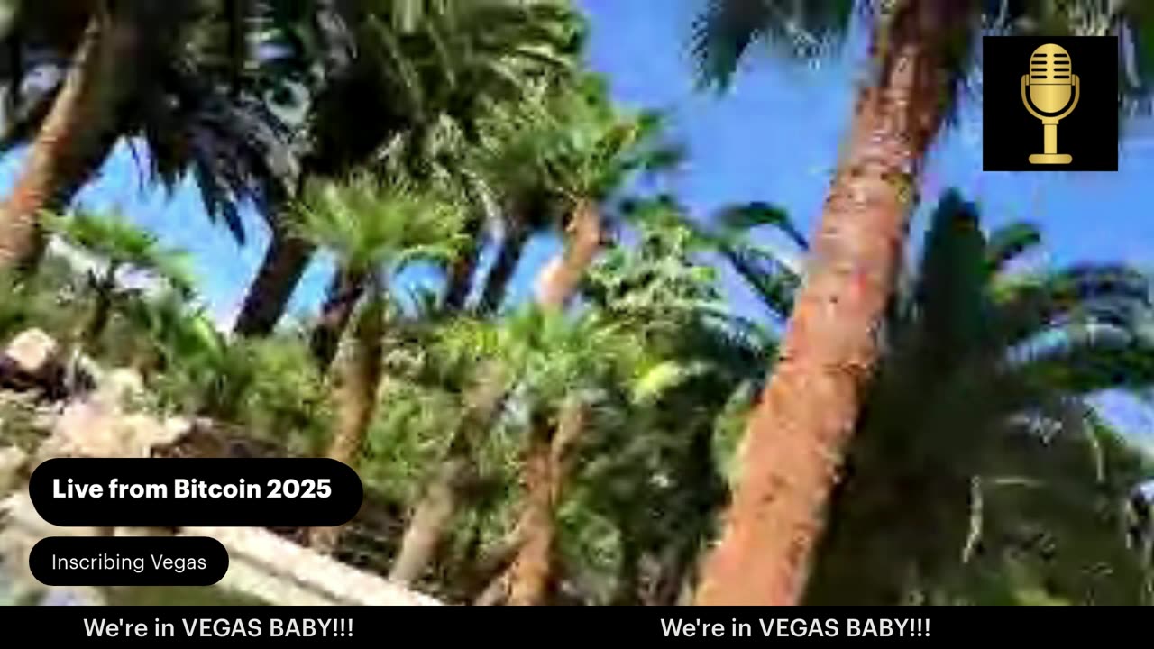 Bitcoin Vegas Live - DeOrganized Media at #Bitcoin2025