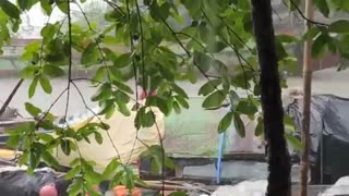 Rain & Fishing Life