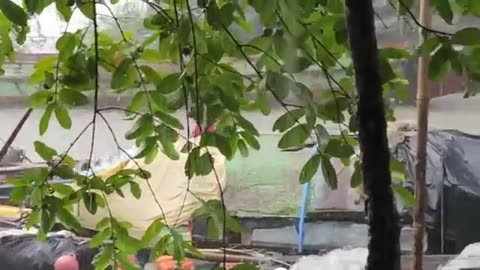 Rain & Fishing Life