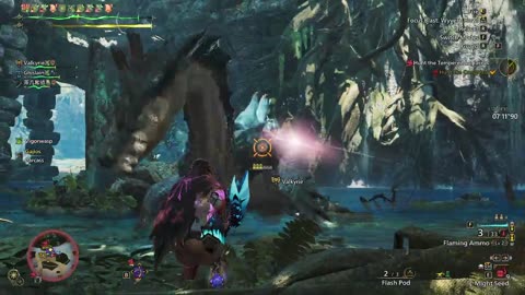 Monster Hunter Wilds time