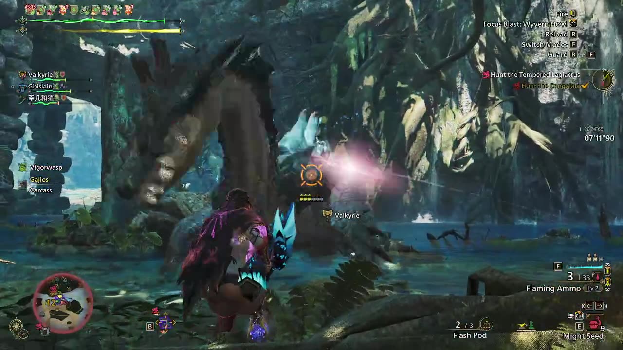 Monster Hunter Wilds time