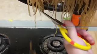 Ideas fox part 64