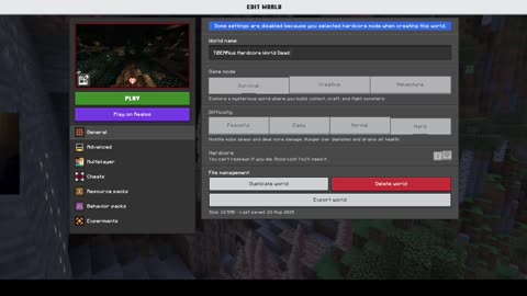 Playing Minecraft on my son's server