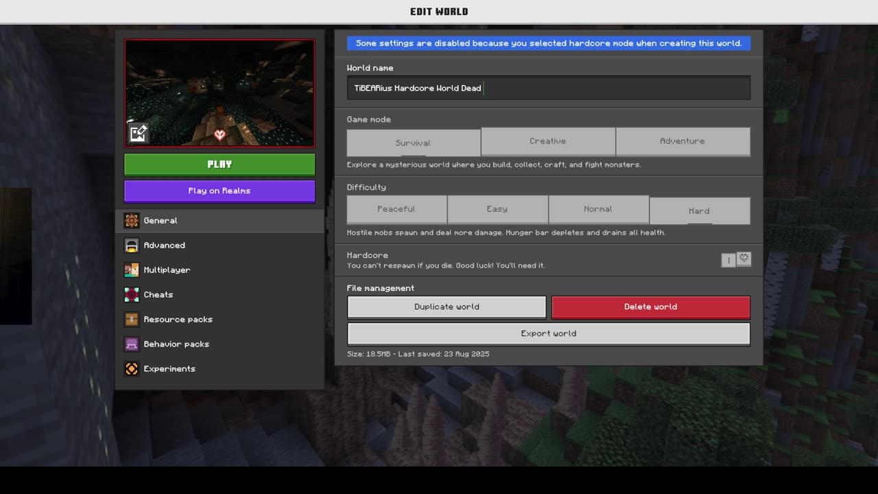 Playing Minecraft on my son's server