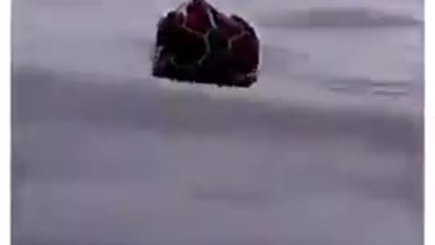 SEA TURTLE ASKS FOR HELP