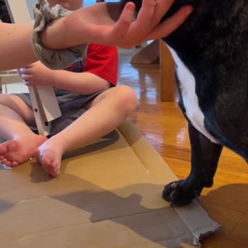 Tiny Builders & Chewy Sidekicks: Bookshelf Madness!