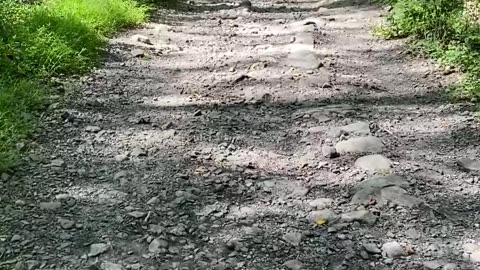 LISTEN TO THE CRUNCH!