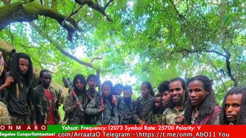 Gabaasa Tarkaanfii ONM-ABO Ebla 8-2025 itti dhiyaadhaa!