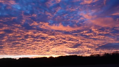 1957 GMC Klonky Front End. Wheel Brg Adj, King Pin or Tie Rod? These Nuts Are Driving Me Bolts. SKY!