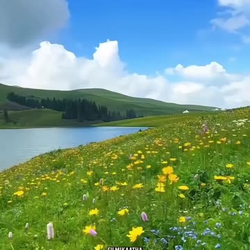 Duniya mange apni muradein...