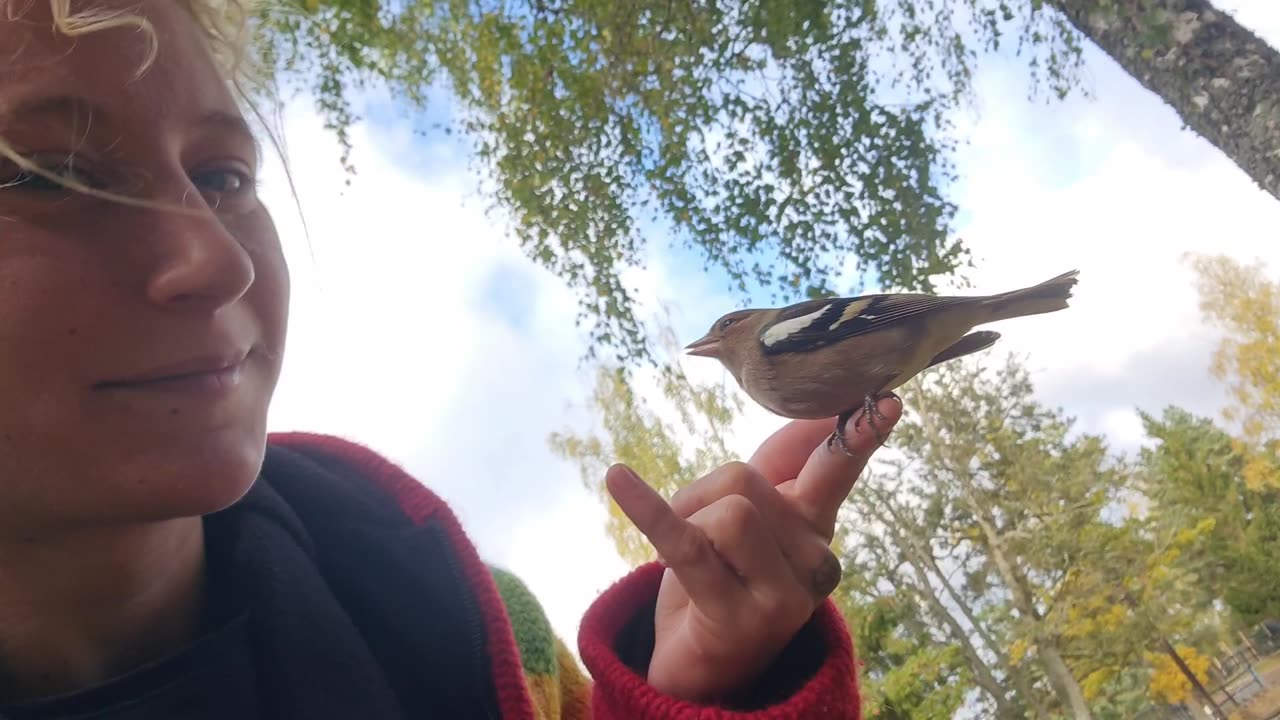 Two beautiful birds 🐦