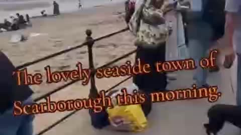 Are you going to Scarborough fair….? (Read Description for a superb interview)