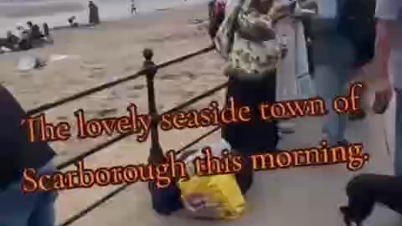 Are you going to Scarborough fair….? (Read Description for a superb interview)