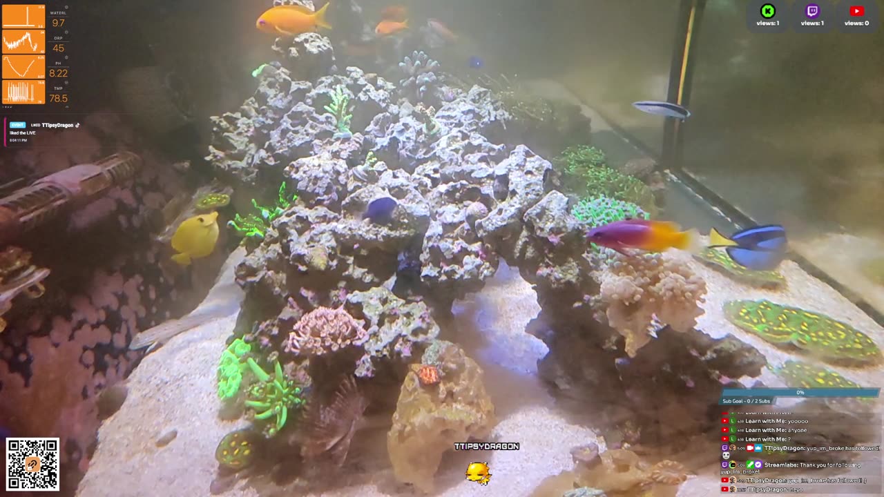 24/7 Real Live Reef Stream