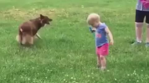 Babies Being Hilarious