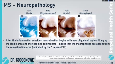 Dr. Goodenowe - Plasmalogens for Brain Health