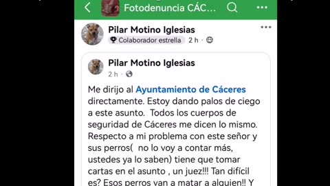 Denuncian el ataque de dos perros peligrosos de un hombre hacia el perro de una mujer