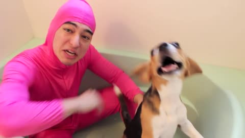 PINK GUY LOVES ANIMALS